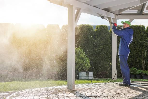 Best Dumpster Area Cleaning  in Collings Lakes, NJ